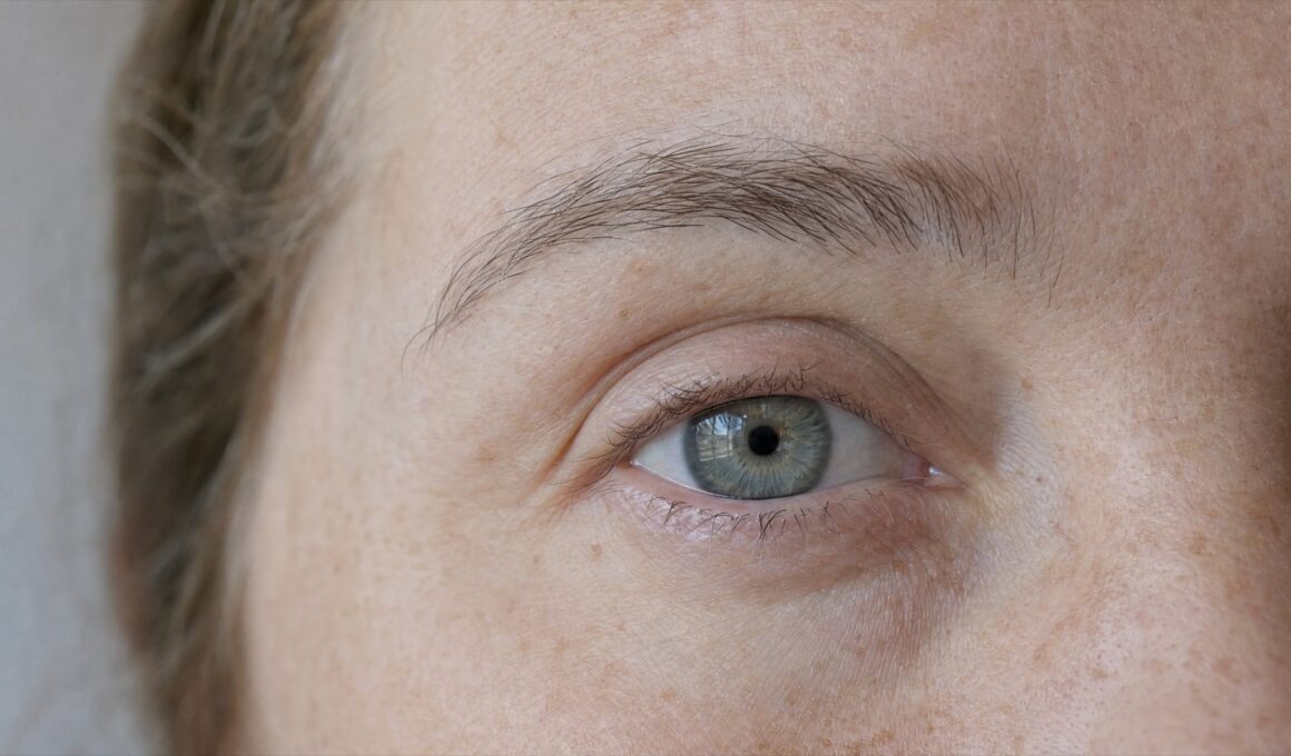 Extreme close-up of one eye and the full eyebrow of a 49-year-old woman with freckles and naturally sparse lashes, no mascara, in soft window daylight